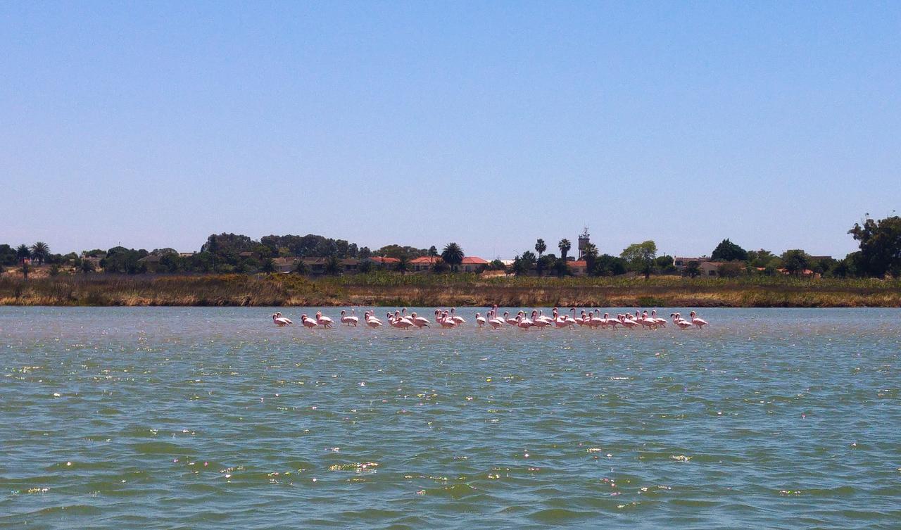Le Marina B&B Velddrif Zewnętrze zdjęcie